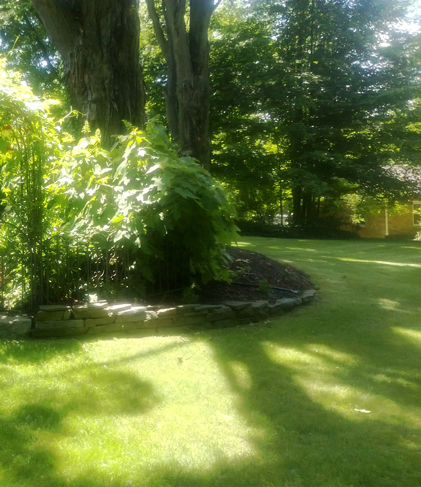 lawncare-lb2